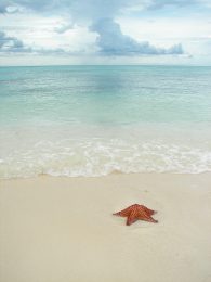 Can you really get away from it all?