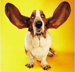 Wait…what did she mean by that?