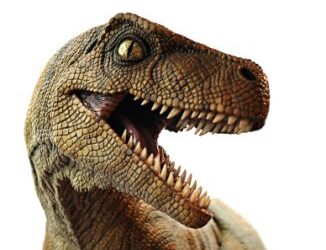 Nobody will tell you