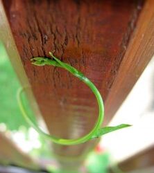 Is your organization ready to grow?