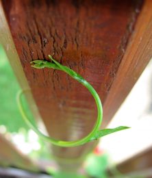 Is your organization ready to grow?