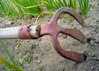 Creating fertile ground for change