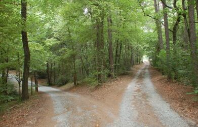 Life is always better on the high road