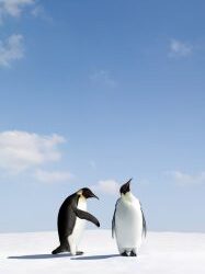 Stop saying you are sorry