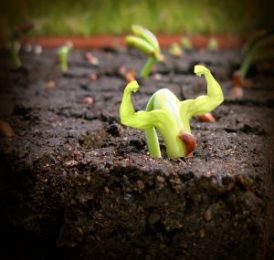 Creating a culture of ownership