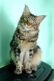 Make curiosity your default setting