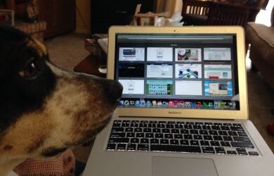 Keep remote workers “close”