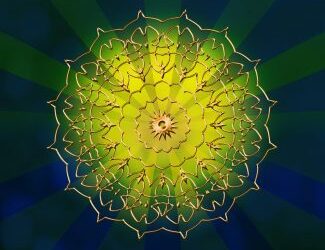 Everything is leadership