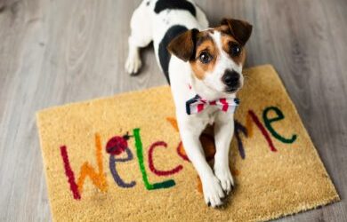 Happy team, happy life?