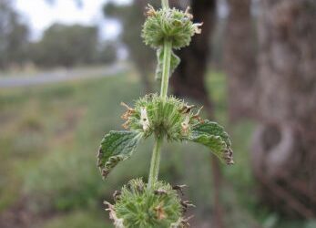 Know what to do and not do