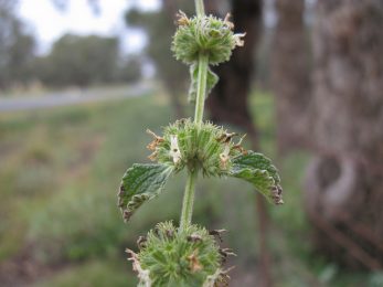 Know what to do and not do