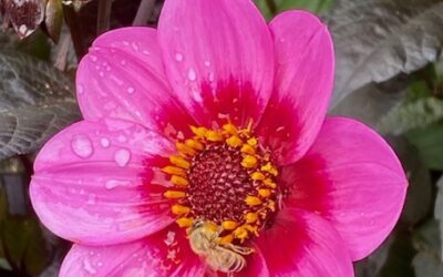 Unplugged: A true story of its benefits