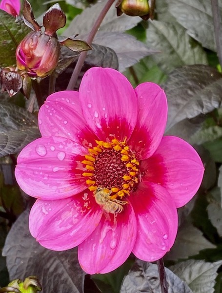 Unplugged: A true story of its benefits